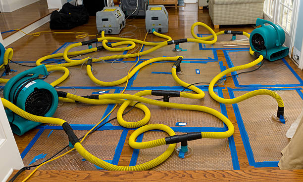 Professional Water Damage Restoration technician working in Howland, ME